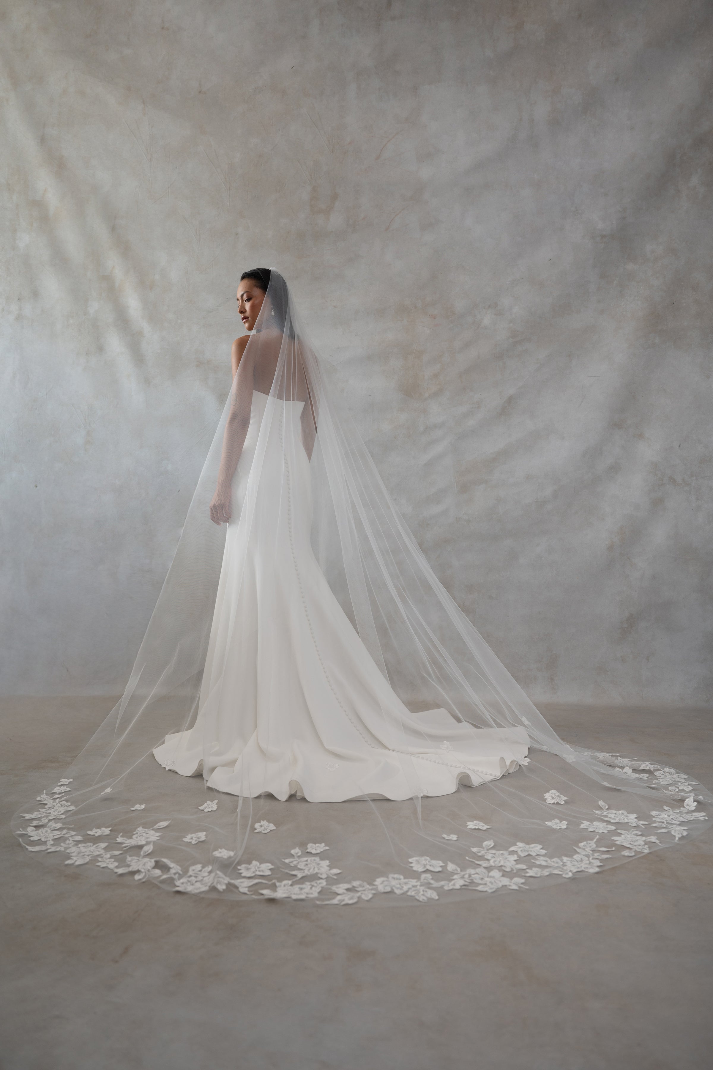 Phoebe Veil – Jenny Yoo