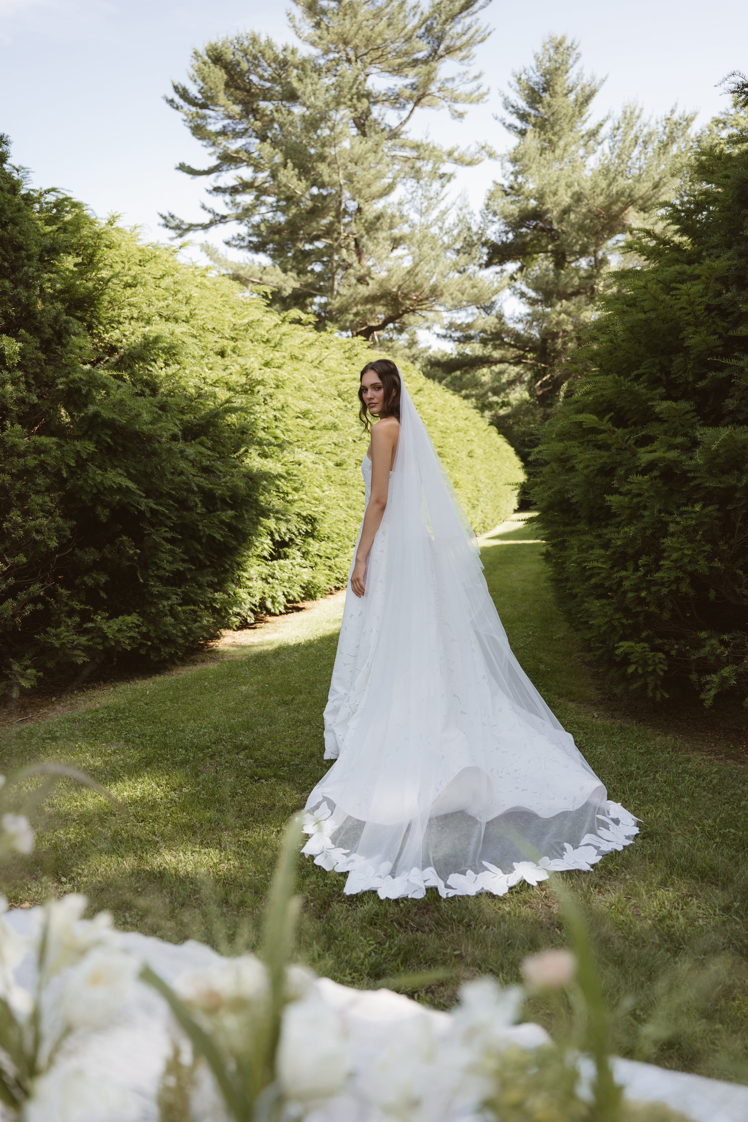 Brody Veil – Jenny Yoo