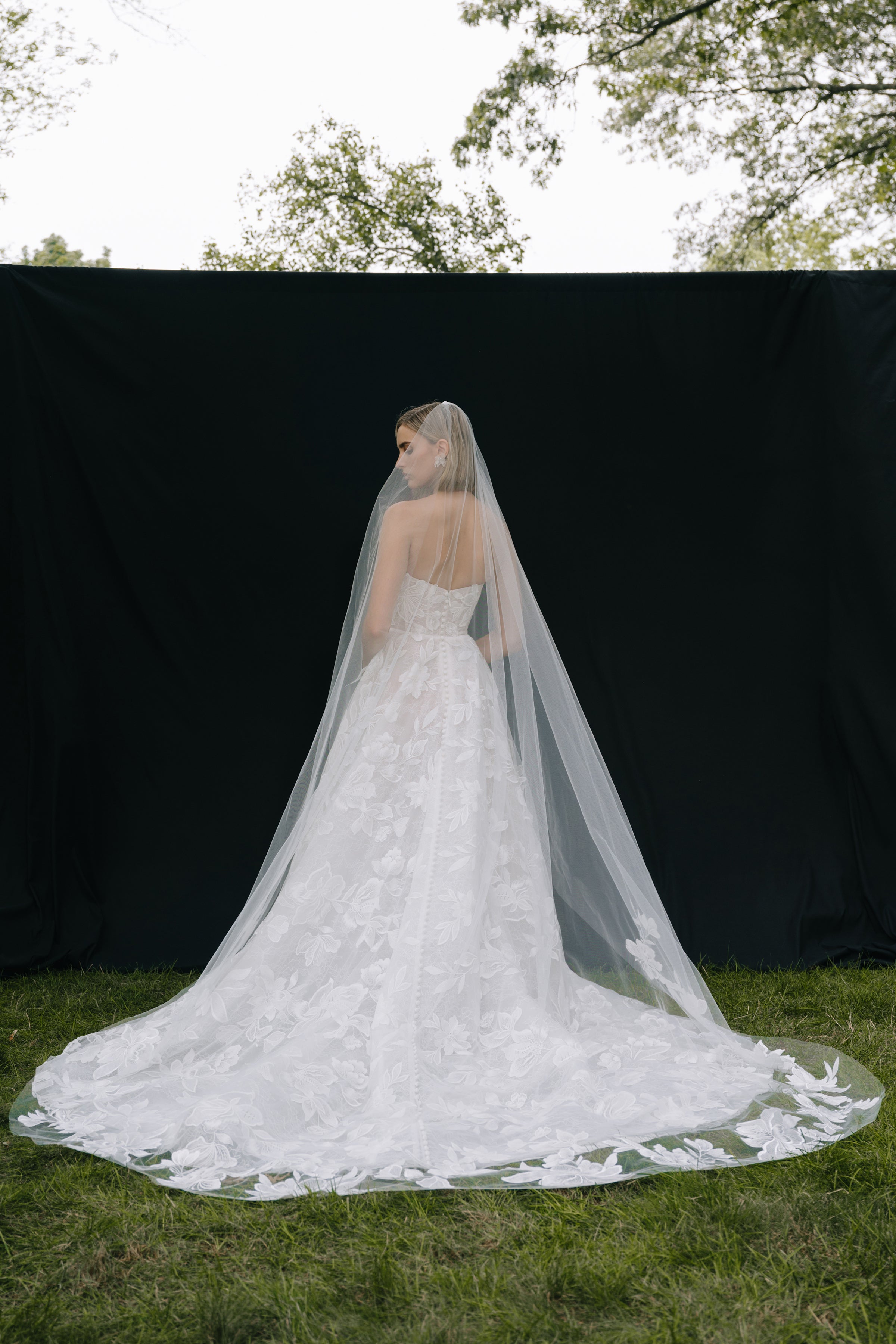 Gwendolyn Veil – Jenny Yoo