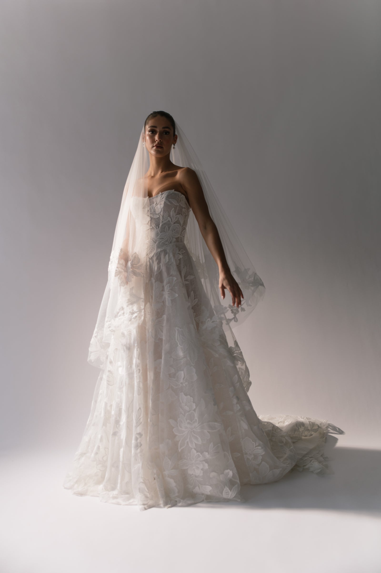 Bride Wearing Dress and Long Veil